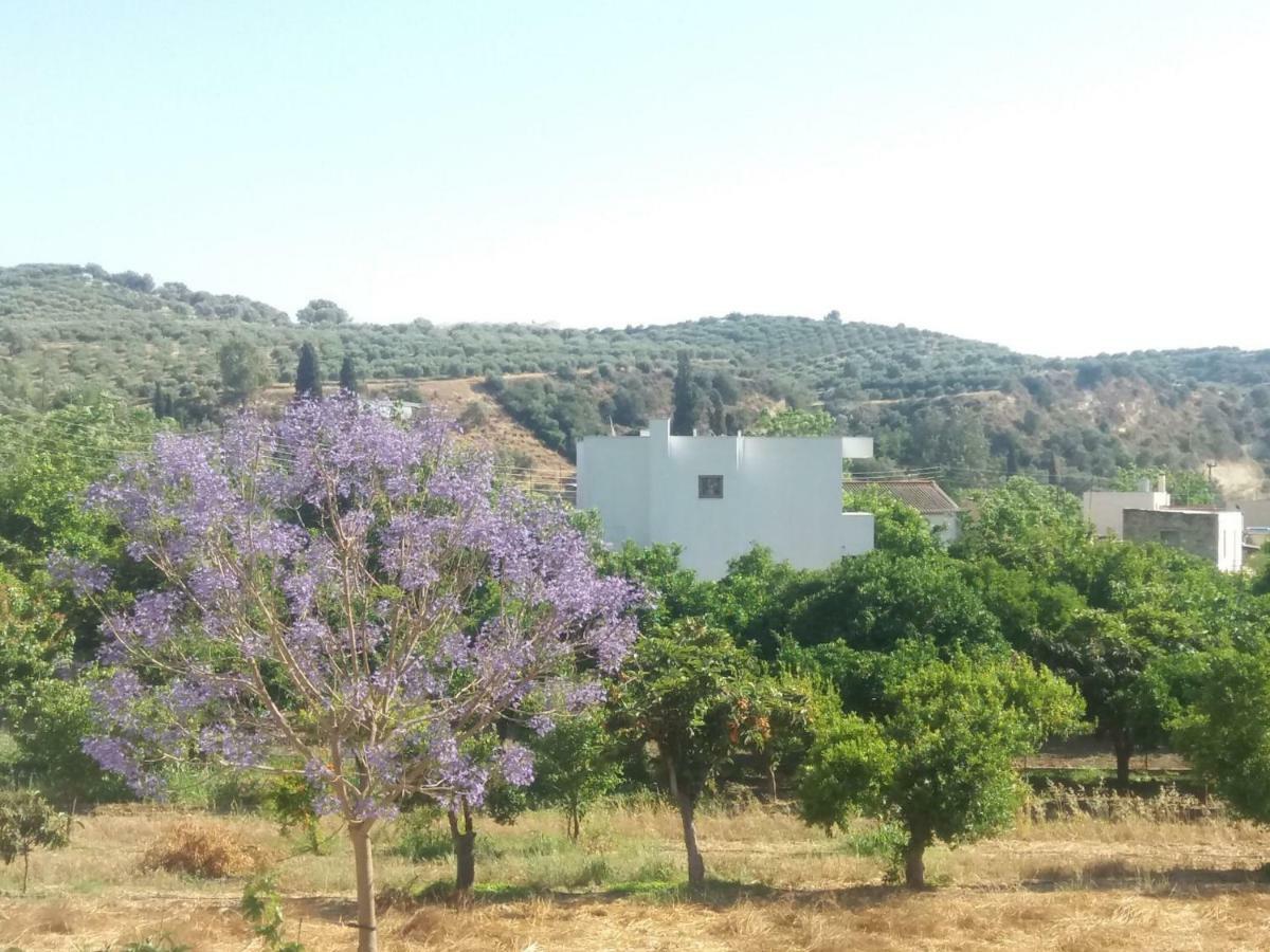 Vrondos Apartments Faneromeni  Luaran gambar
