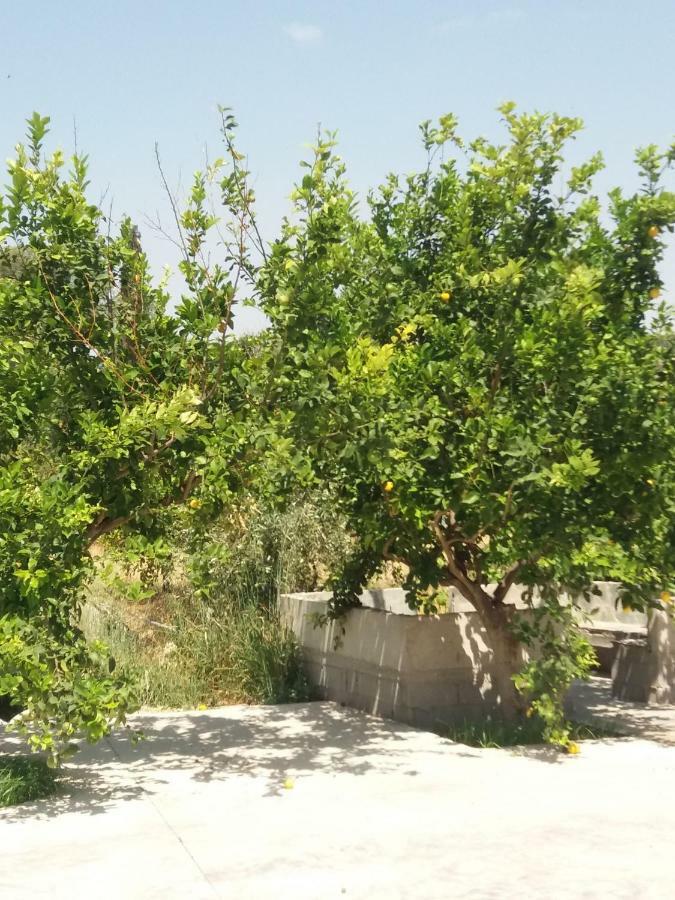 Vrondos Apartments Faneromeni  Luaran gambar